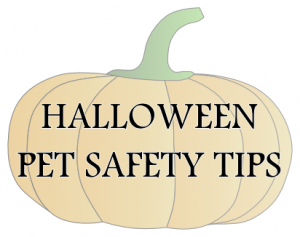 Halloween Pet Safety Button 2013